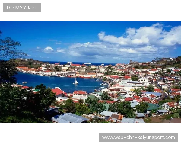 格林纳达拳击运动逐渐走红，格林纳达历史